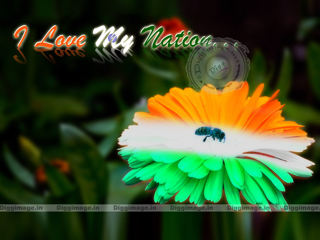 Tags I Ndian Flag Pictures Wallpaper Animated Indian