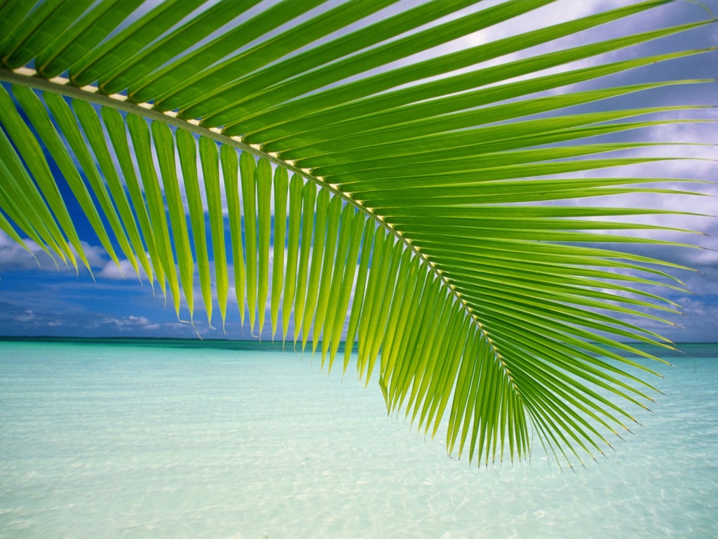 Tropical Lagoon Wallpaper Desktop