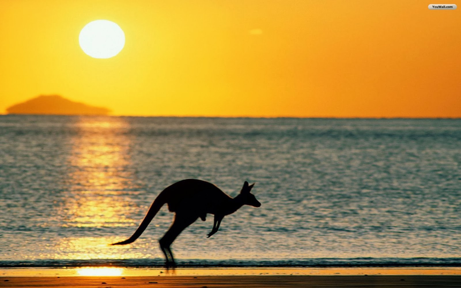 Australia Beaches Wallpaper HD