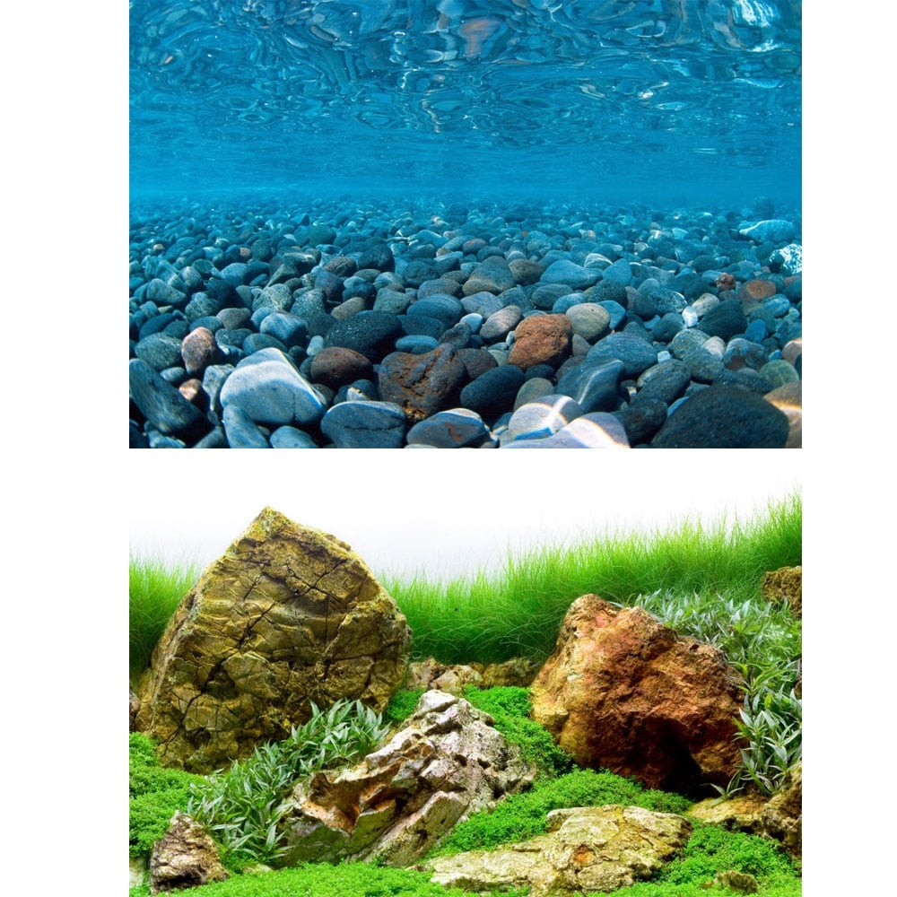 Marina River Rock Sea Of Green Aquarium Background