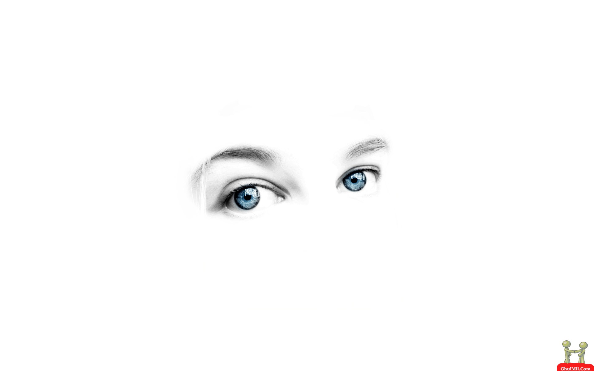 Beautiful Eye In White Background HD Wallpaper E Entertainment