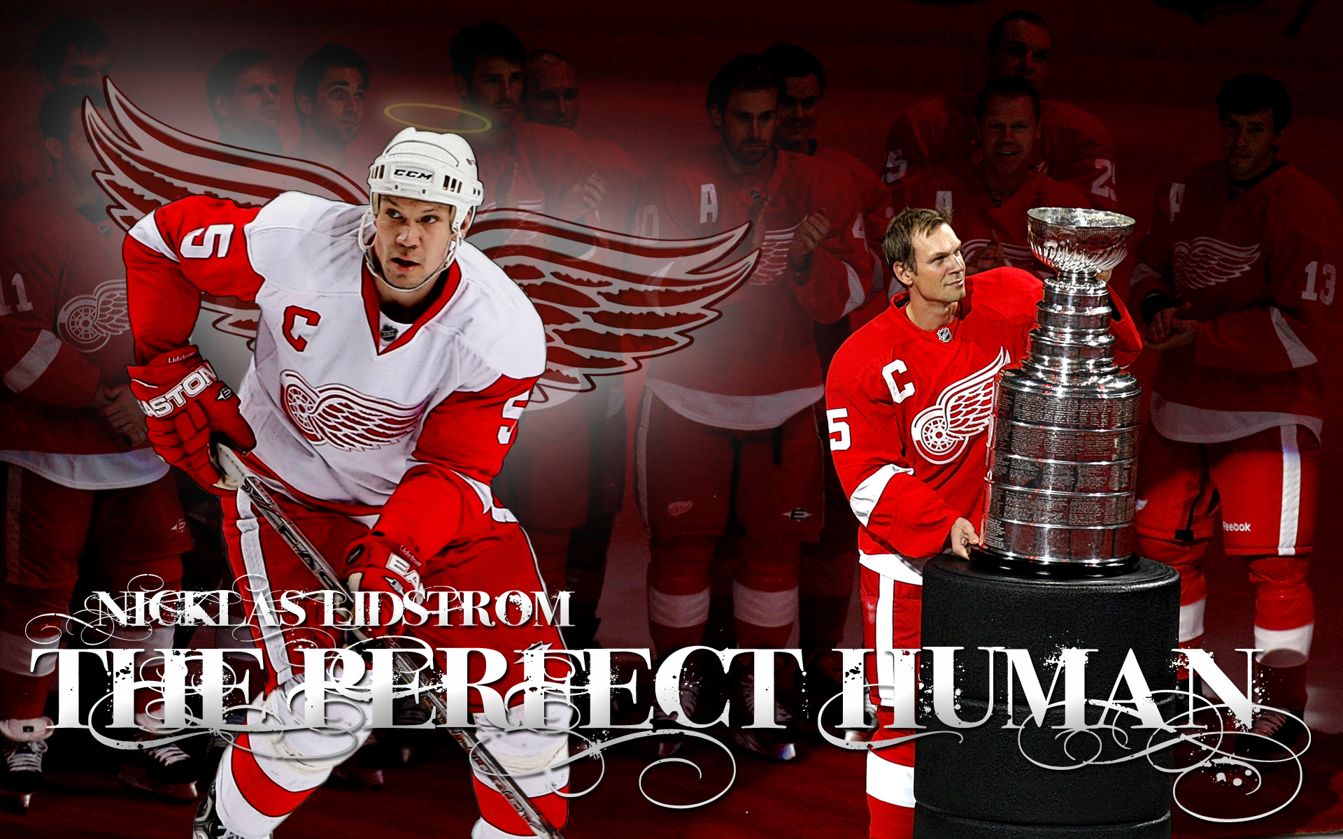 Detroit Red Wings Wallpaper Background