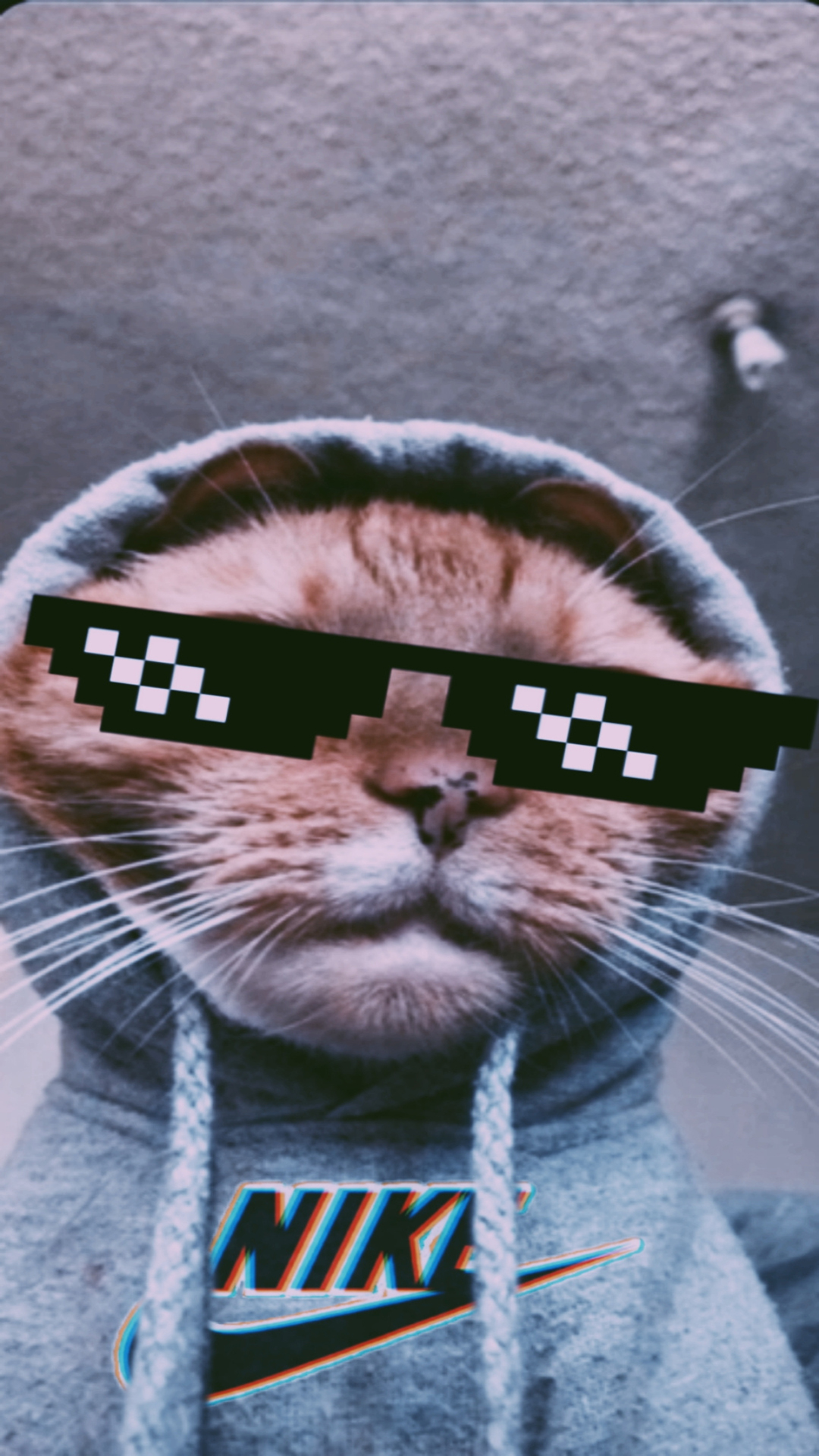 Funny Memes Wallpaper For Mobile