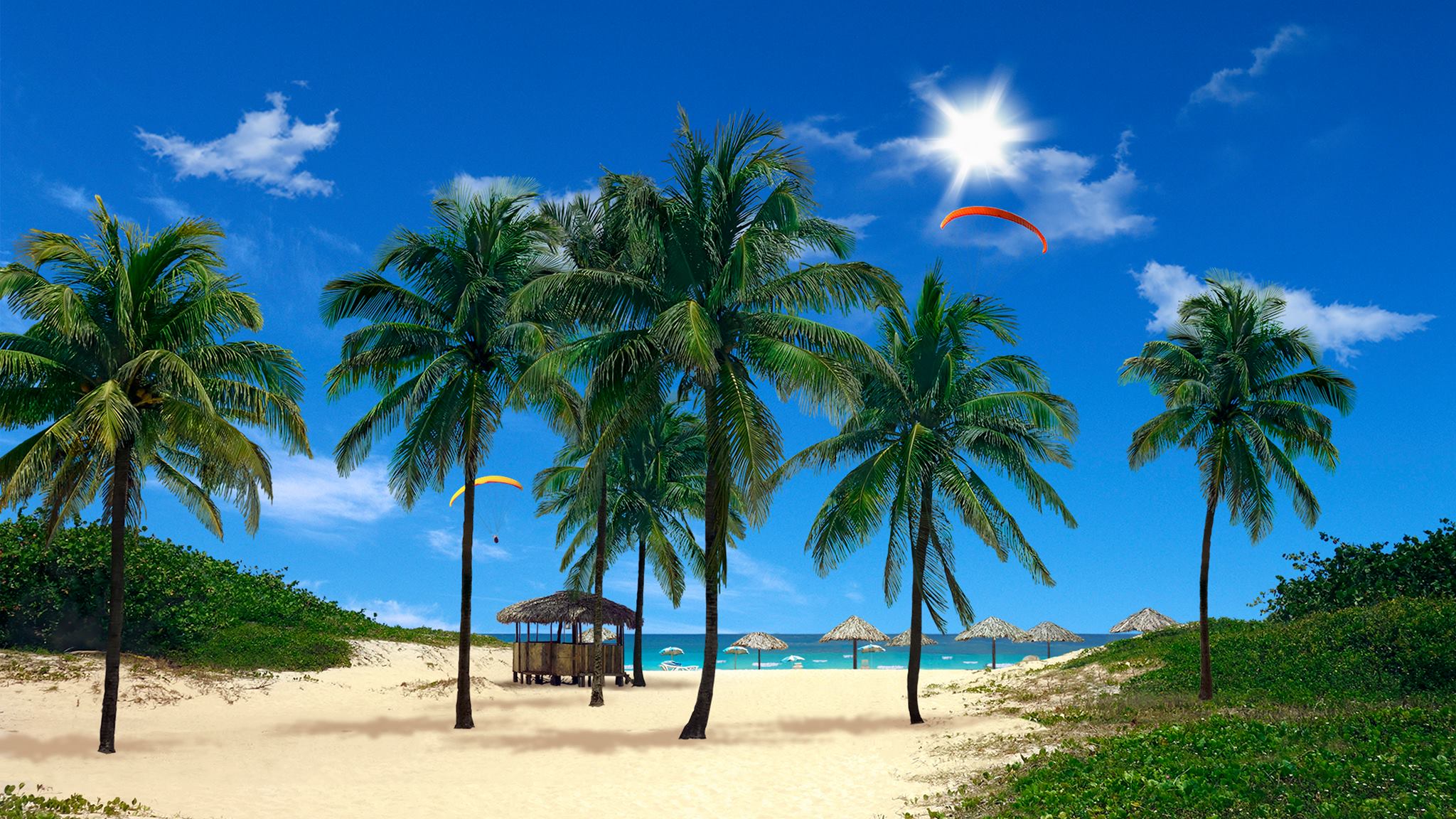 Real Snowfall Beach Palms 3d Are Two Live Wallpaper To Spruce