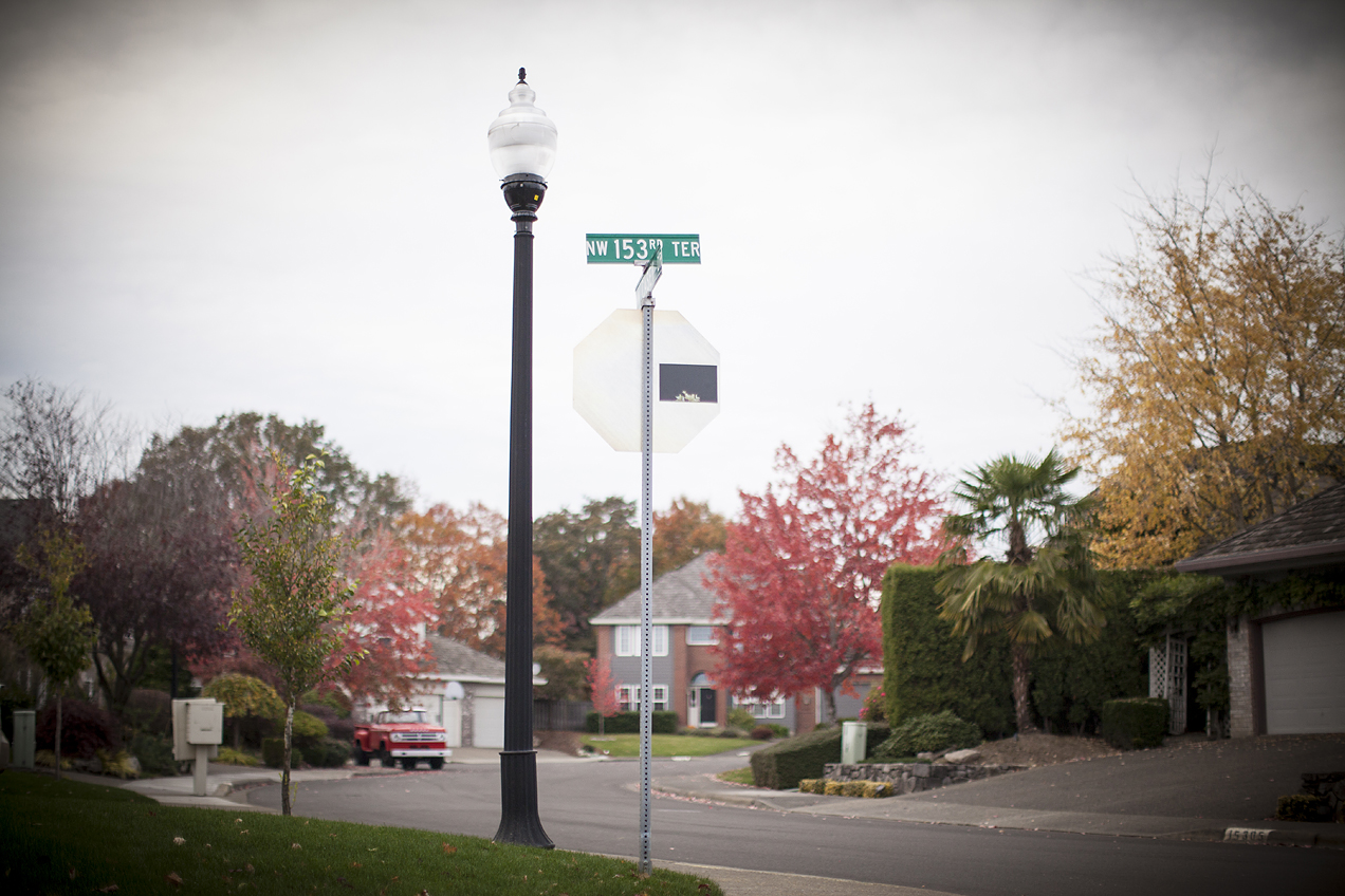 Free download photography street art installation portland oregon