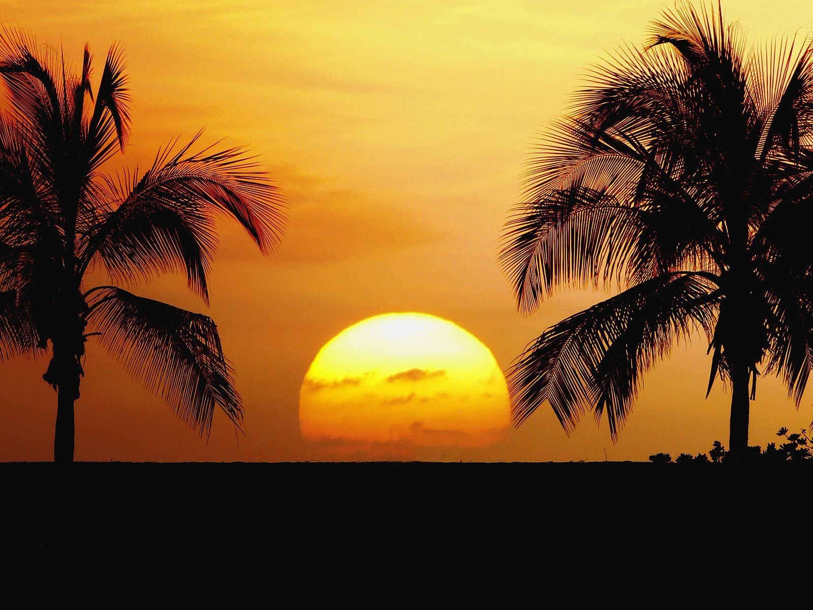  Dream Wedding With Hawaii Beach Sunset Wallpaper Best Travel Sites