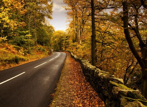 Country Dirt Road Wallpaper The Autumn
