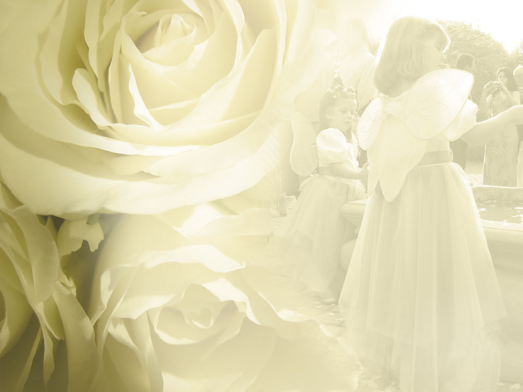 Wedding Flower Powerpoint Background And Wallpaper