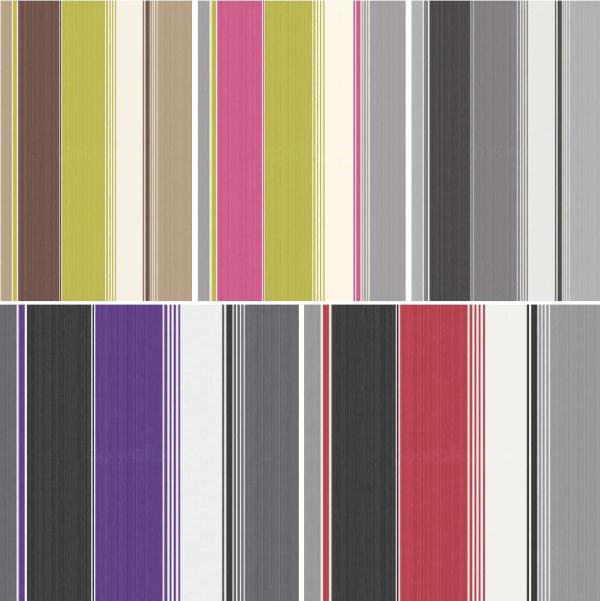 Feathers Stripe Contemporary Bold Bright Colour 10m Wallpaper Roll