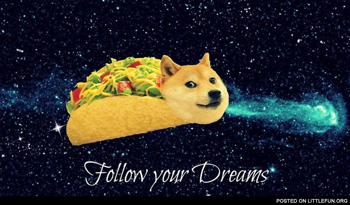 LittleFun   Follow your dream doge