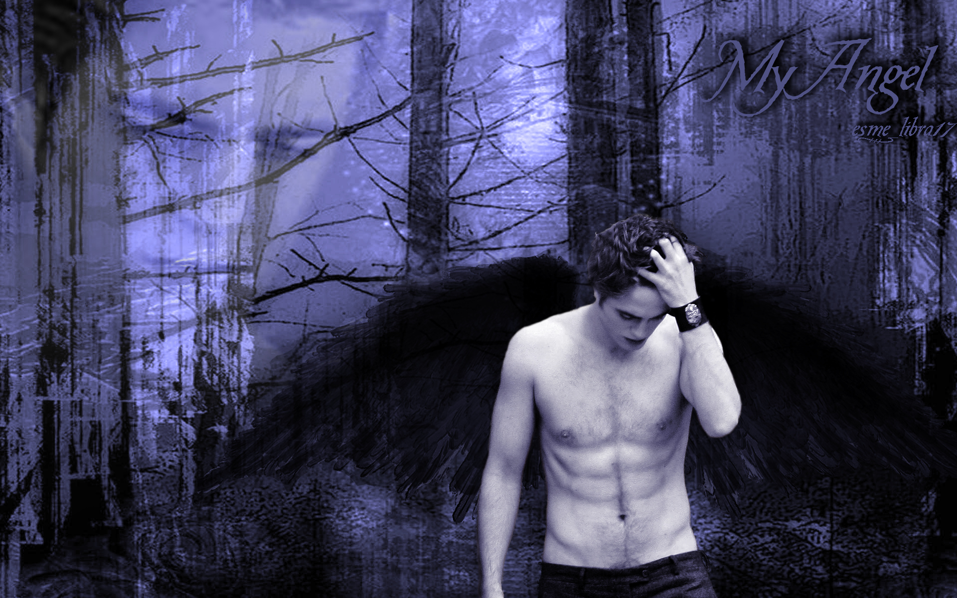 Edward Cullen   My angel   Twilight Series Wallpaper