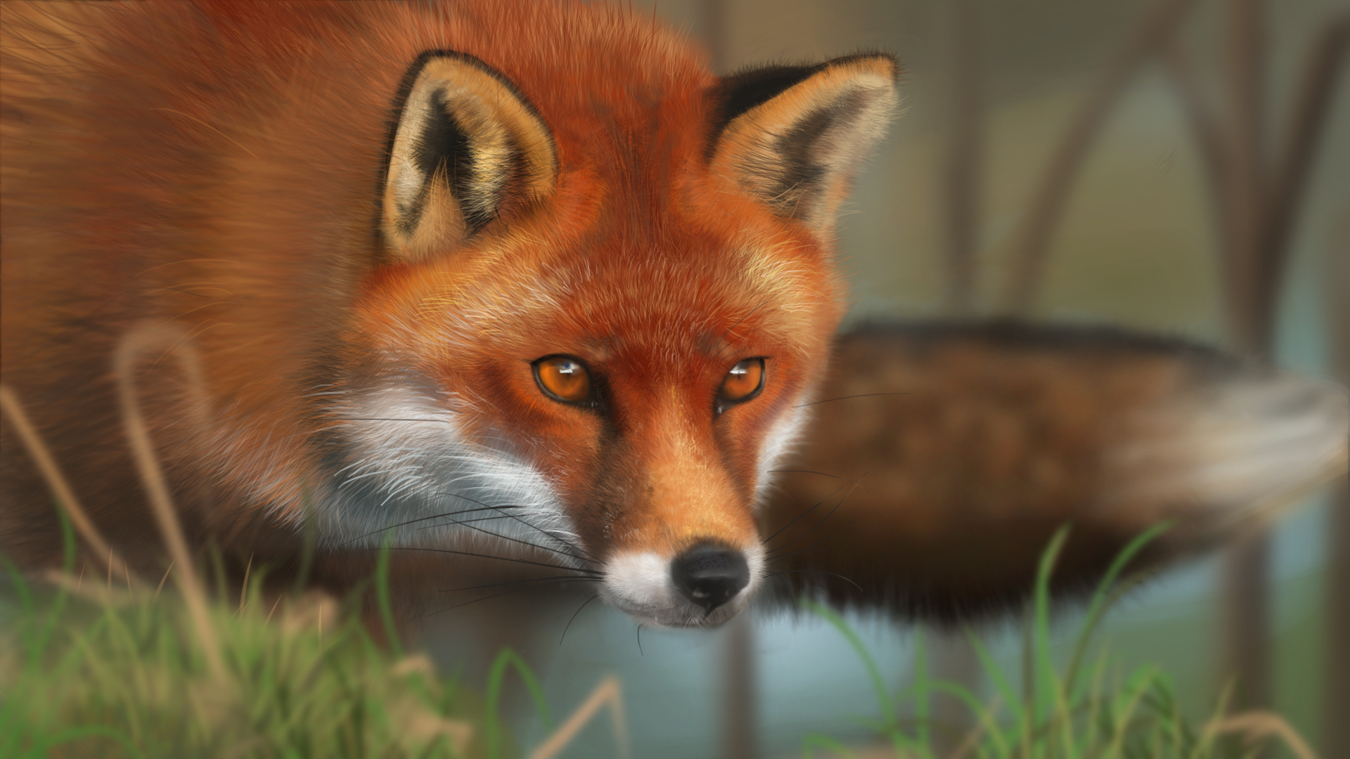 Art Fox Animal Face Red Grass