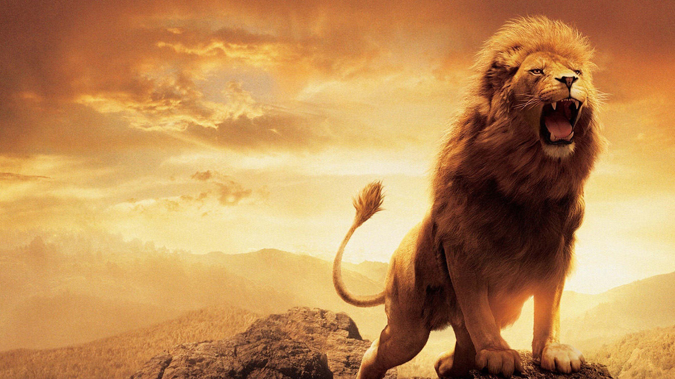 Lion Roar HD Wallpaper For Desktop Mac iPhone iPad Android