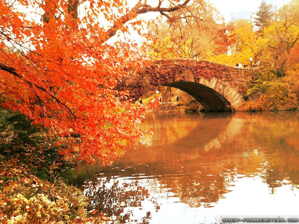 Autumn In New York L Ombra Esiste Solo Dove C La Luce