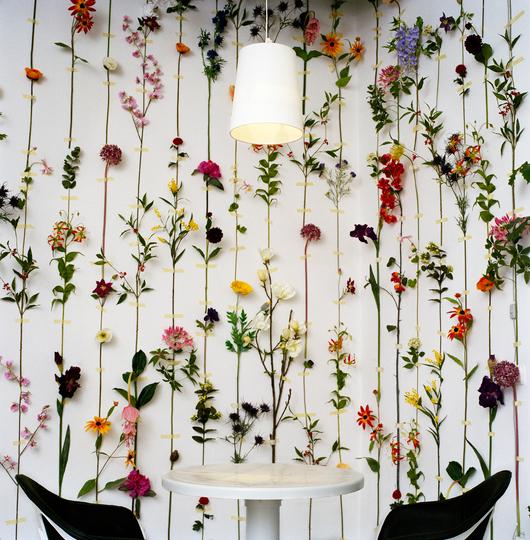 Cool Flower Wallpaper for Walls 530x540