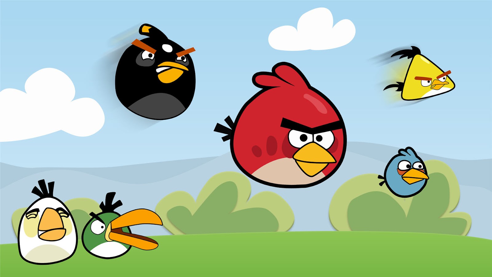  Bird Angry Bird in Action Black Angry Bird Angry Bird Wallpapers