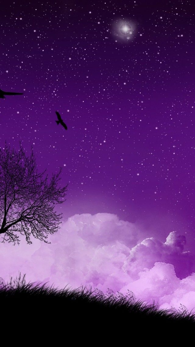 Purple Mood Wallpaper For iPhone And Android Lock