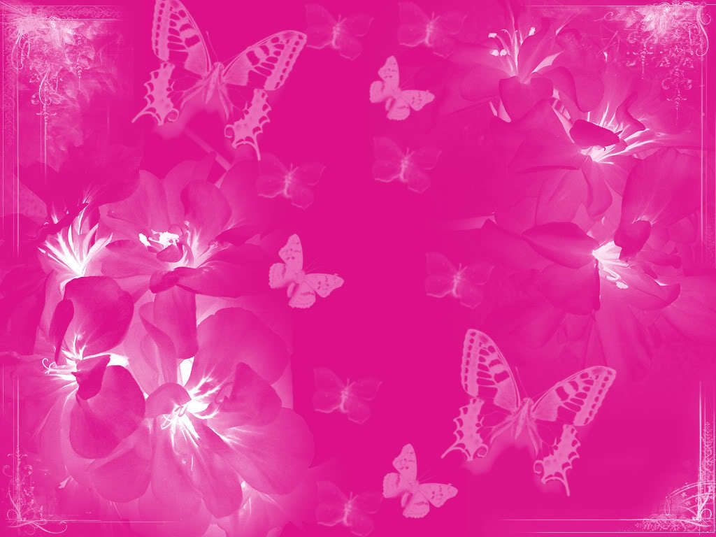 Vivid pink wallpaper background with translucent flowers and butterflies, creating a dreamy and feminine aesthetic