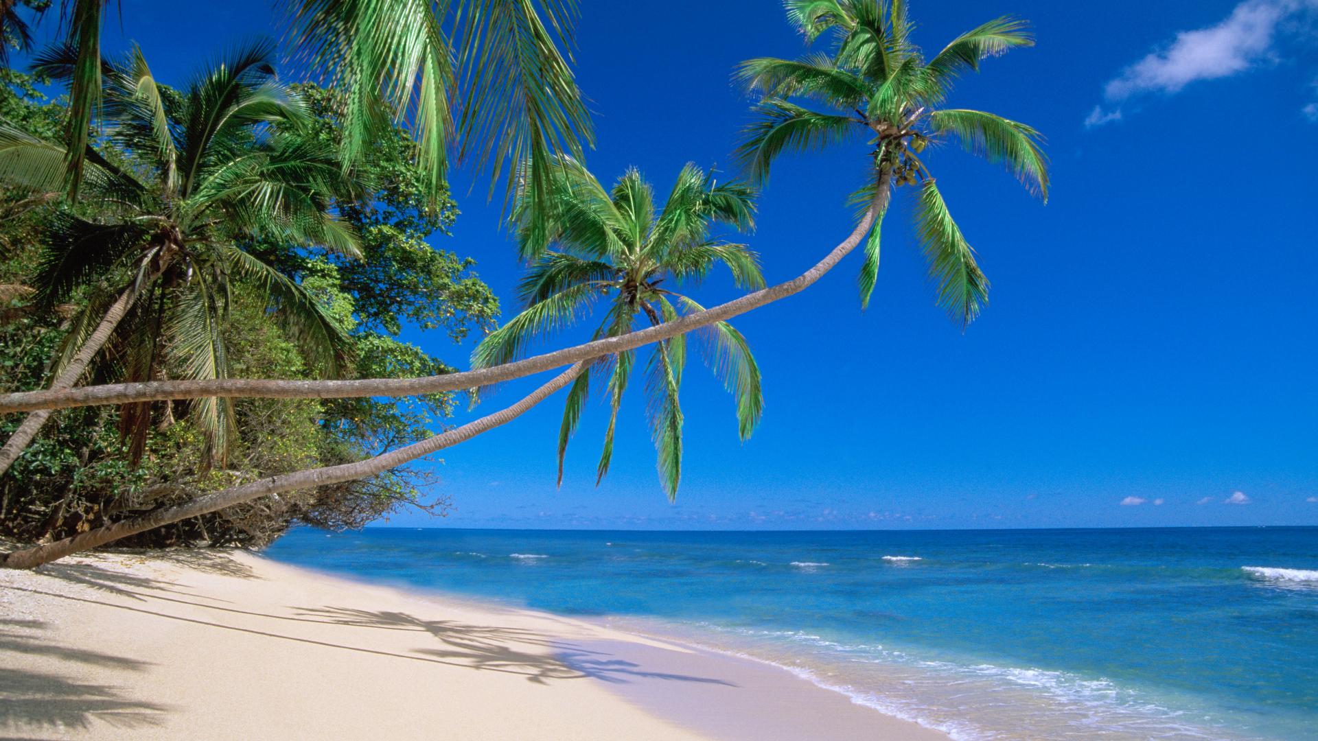 Beach Desktop Background And Wallpaper Kadavu Island Fiji Always