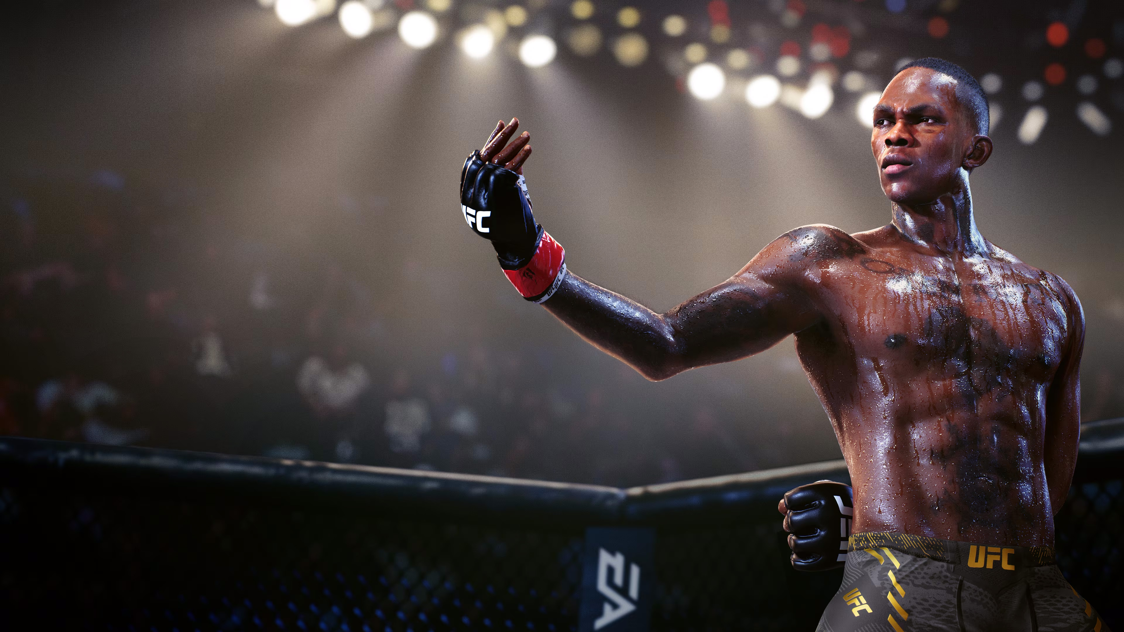 Ufc Wallpaper 4k