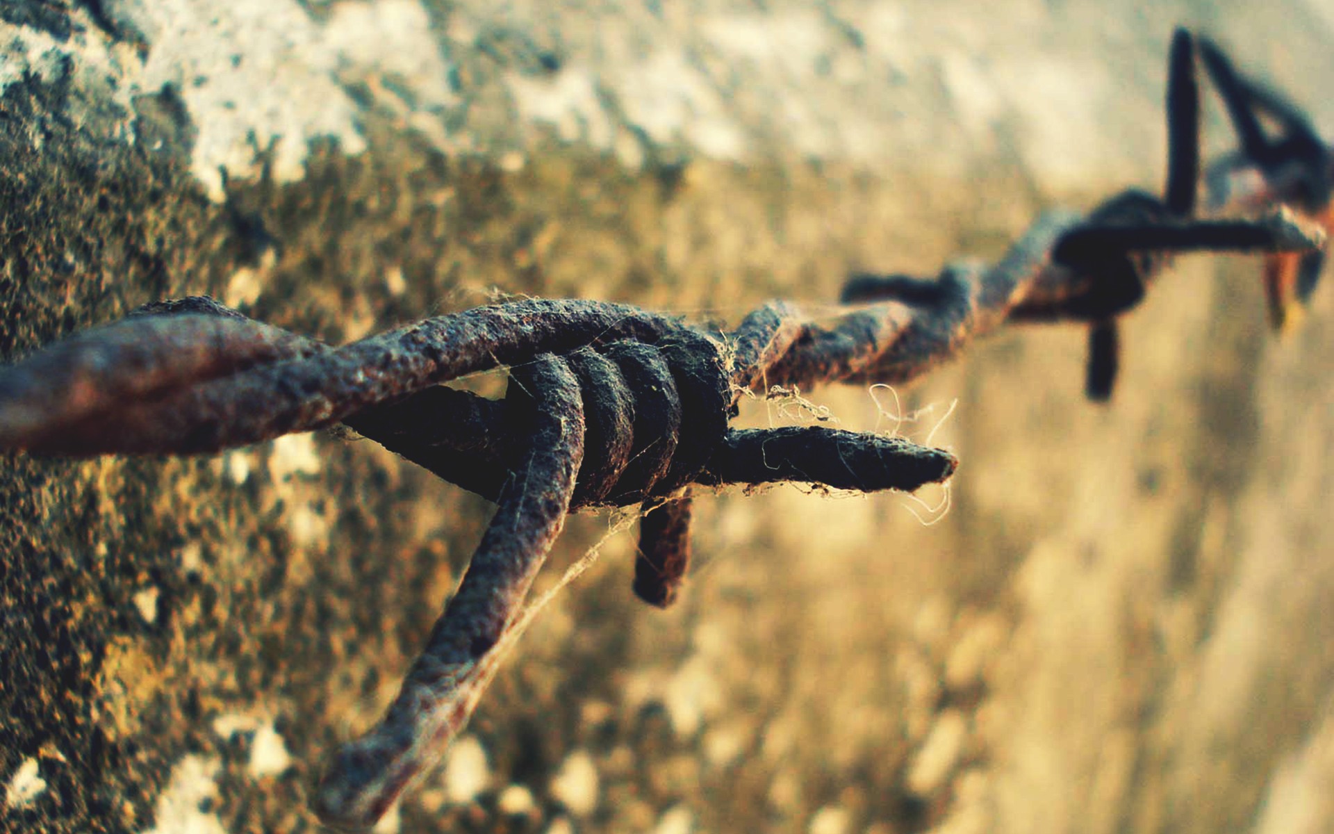 Barb Wire Wallpaper Archives HDwallsource