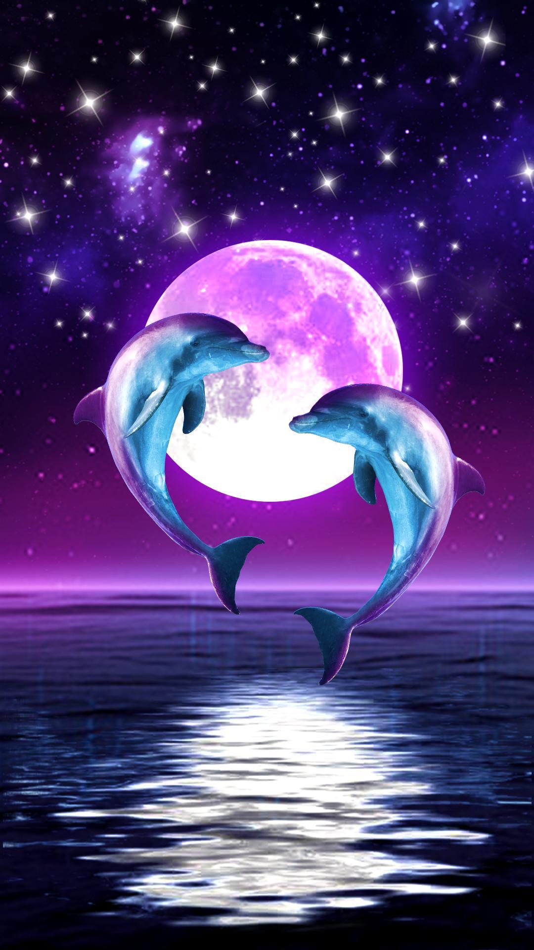 Cute Dolphin Wallpaper