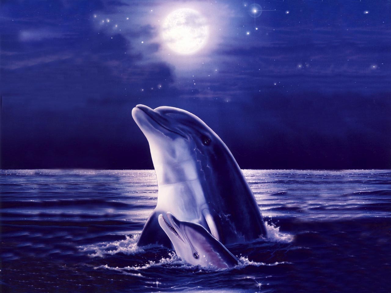 Moonlight Dolphin Animated Wallpaper