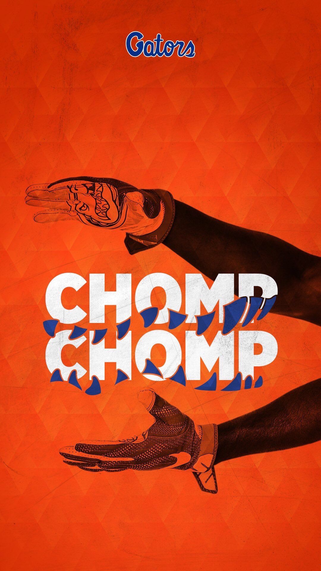 Chomp On Florida Gators Football Wallpaper