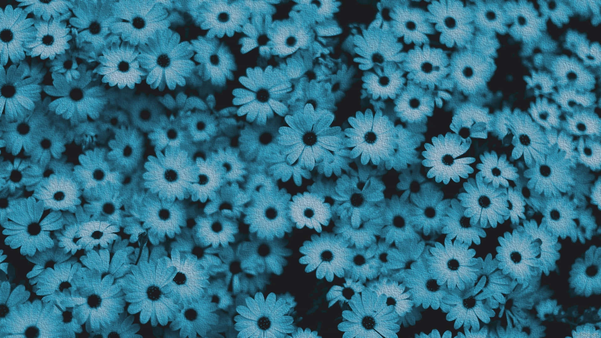 Blue Flowers Aesthetic Wallpaper