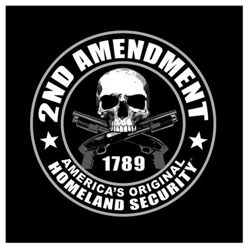 Second Amendment T Shirt