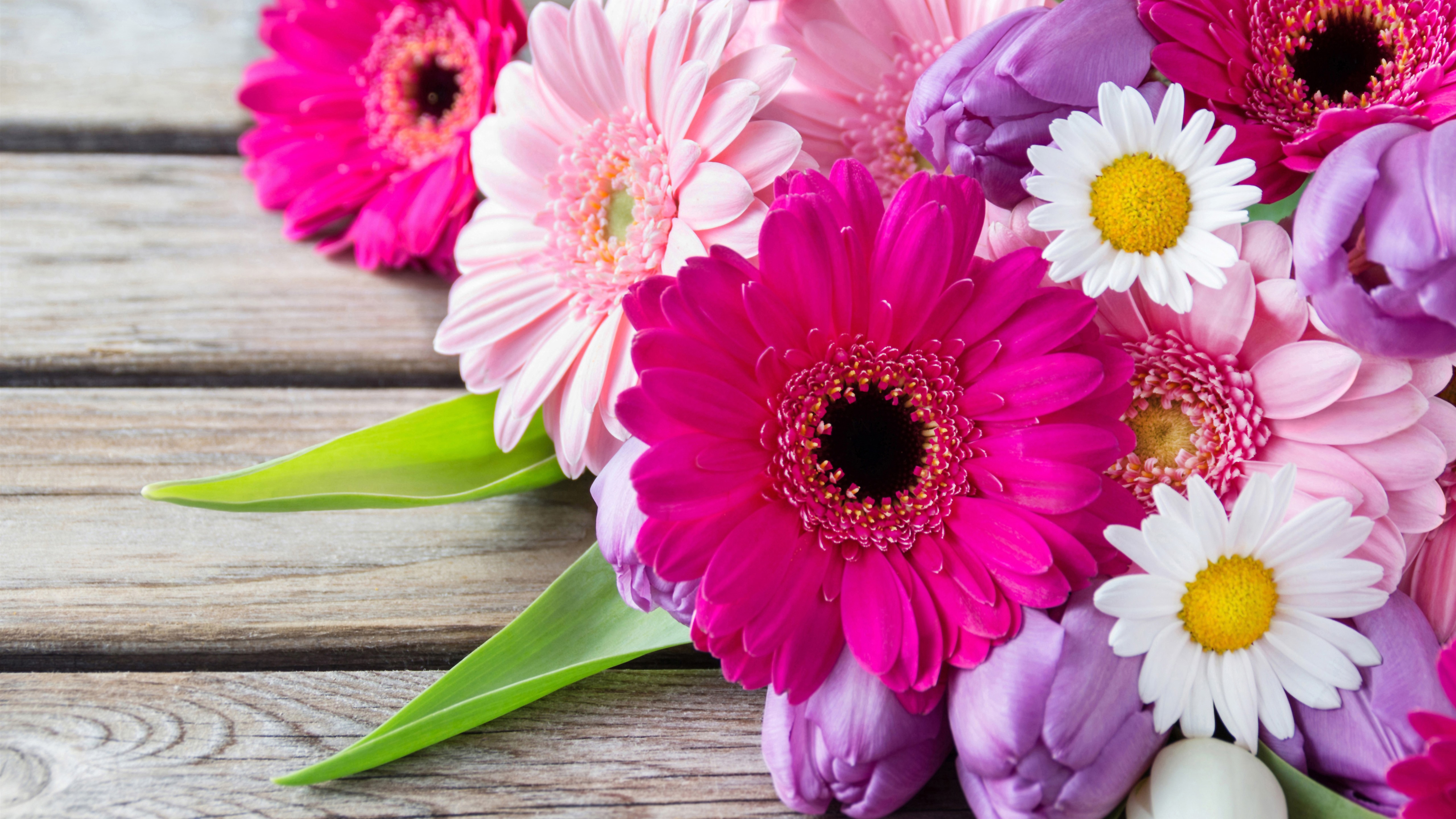 Flower Bouquet For Colorful Background Wallpaper