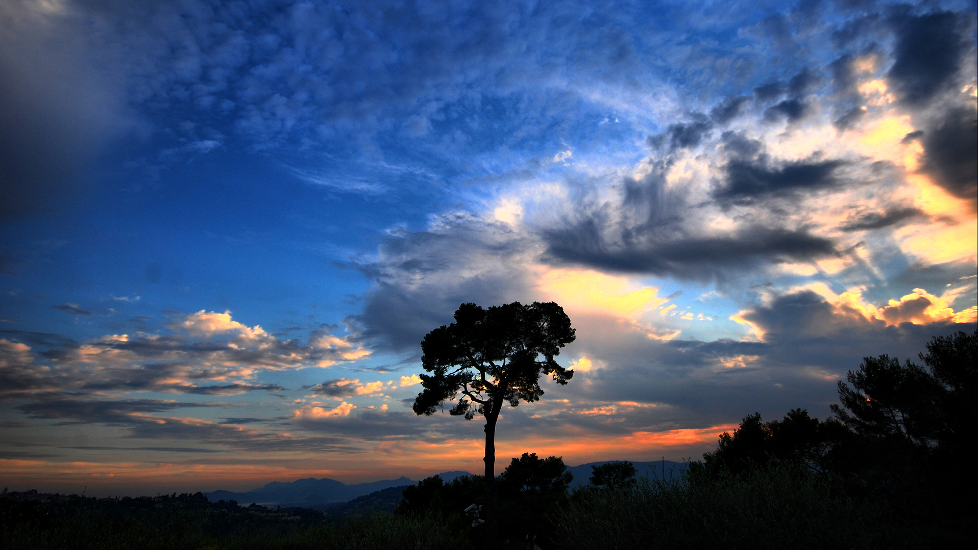 Nature Full HD Wallpaper National Geographic