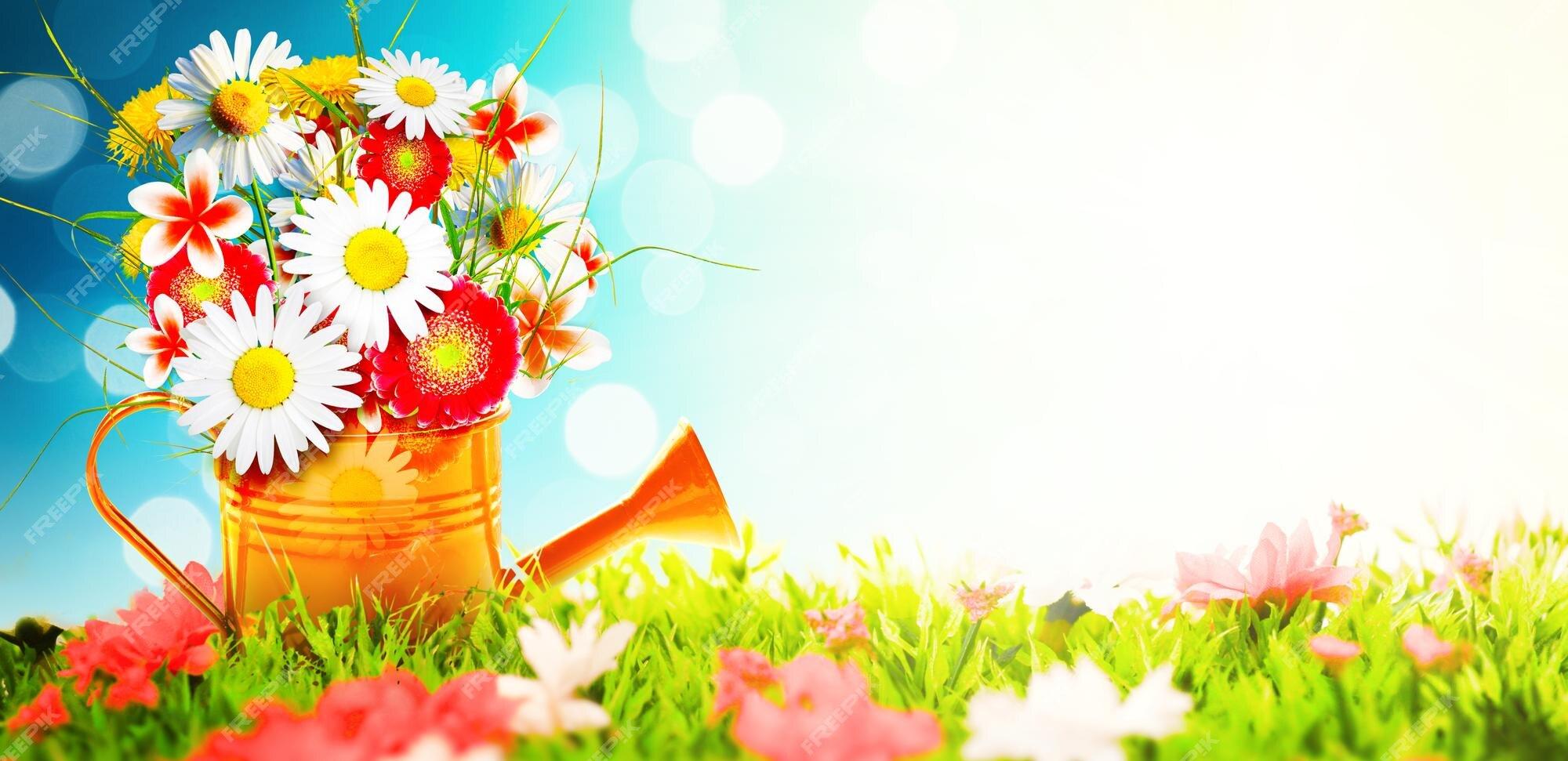 Premium Photo Colorful Wild Flower Bouquet In A Watering Can
