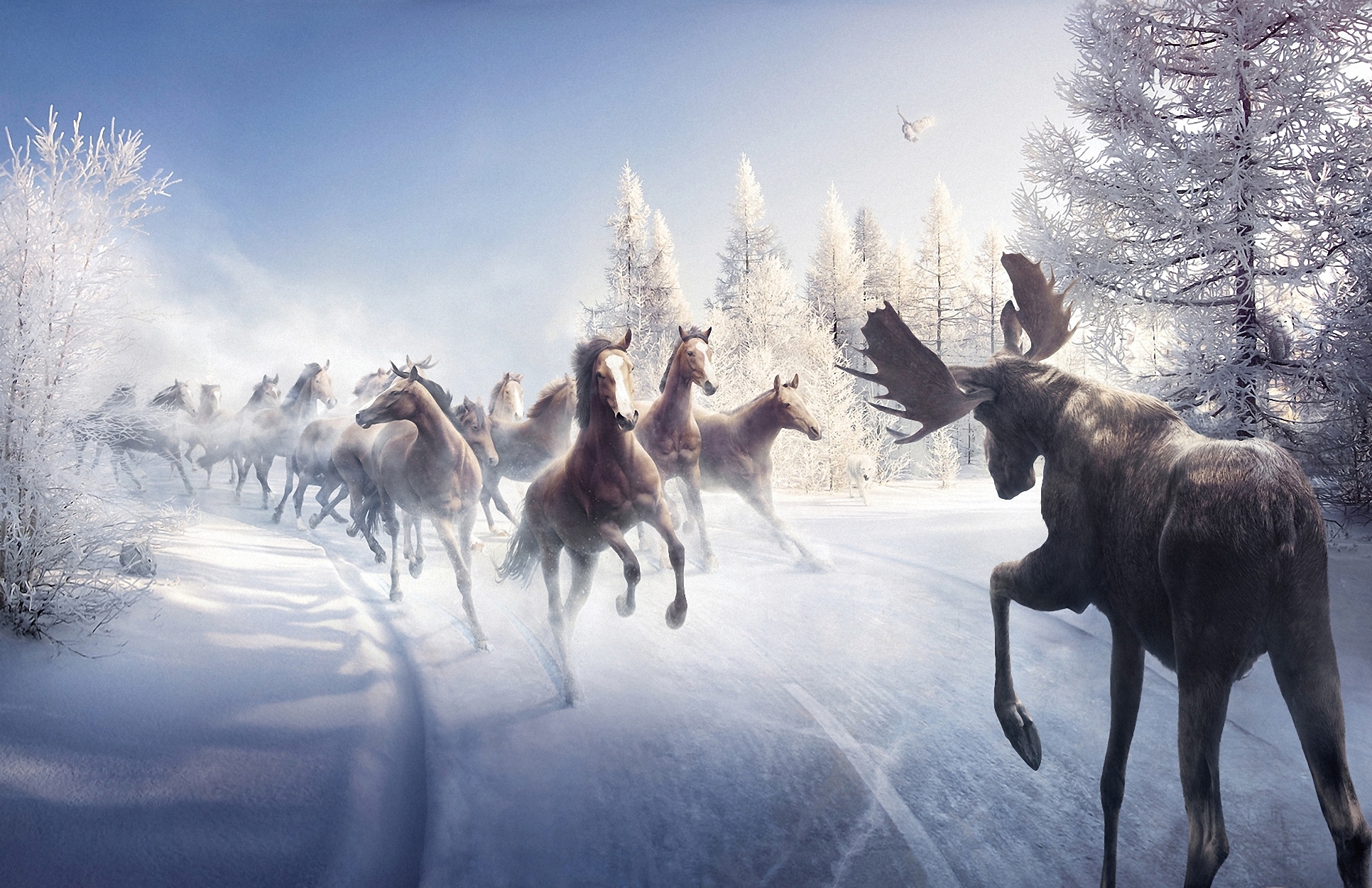 Snow Trees Horses Moose Wallpaper
