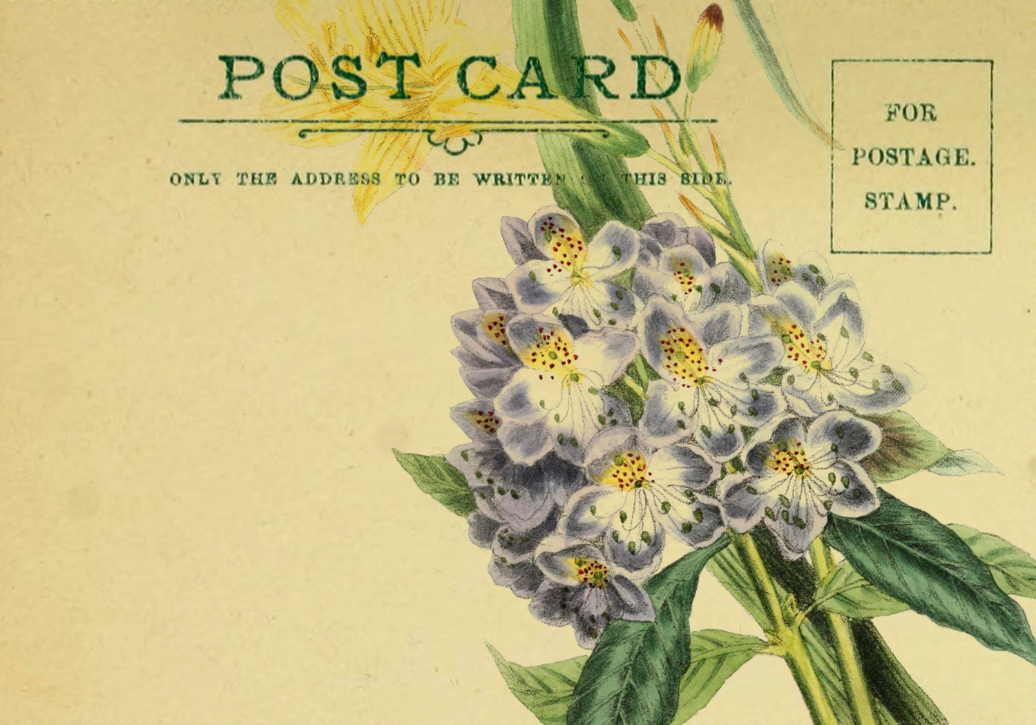 Spring Flowers Digital Postcard Call Me Victorian