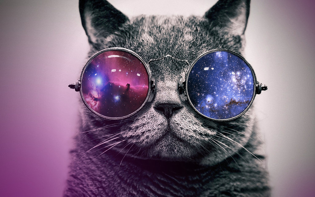 Hipster Cat With Glasses By Annedelune