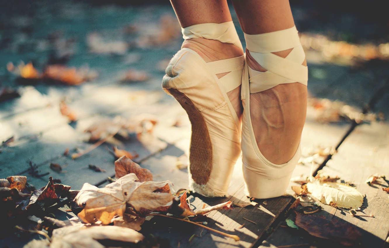Wallpaper Autumn Leaves The Sun Feet Deck Ballerina Pointe