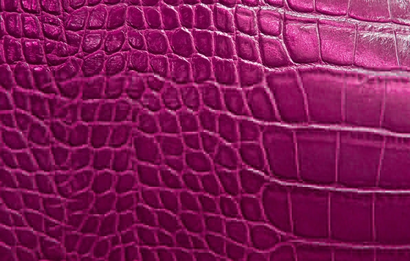 Wallpaper texture alligator skin scales reptile wallpapers textures 596x380