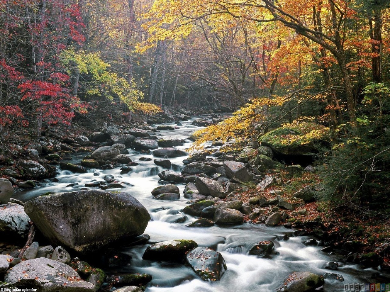 River Tremont Great Smoky Mountains Wallpaper Open Walls