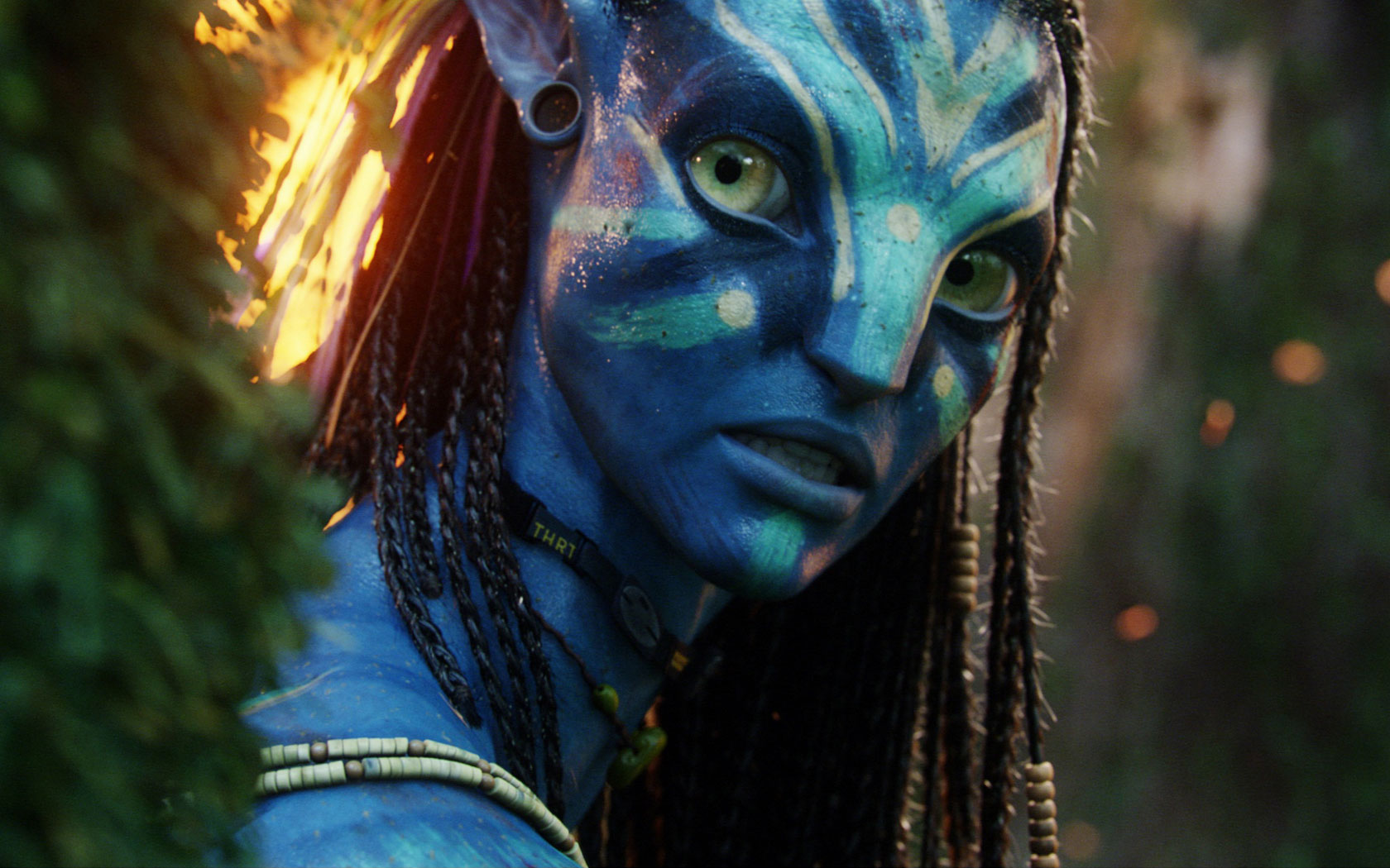 Neytiri Beautiful Warrior In Avatar Wallpaper HD