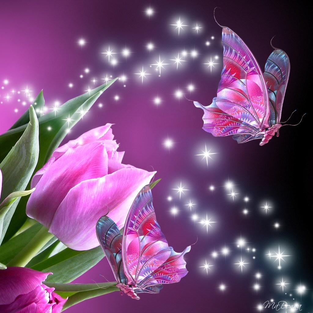 3d Wallpaper For Mobile Touch Animated Butterfly