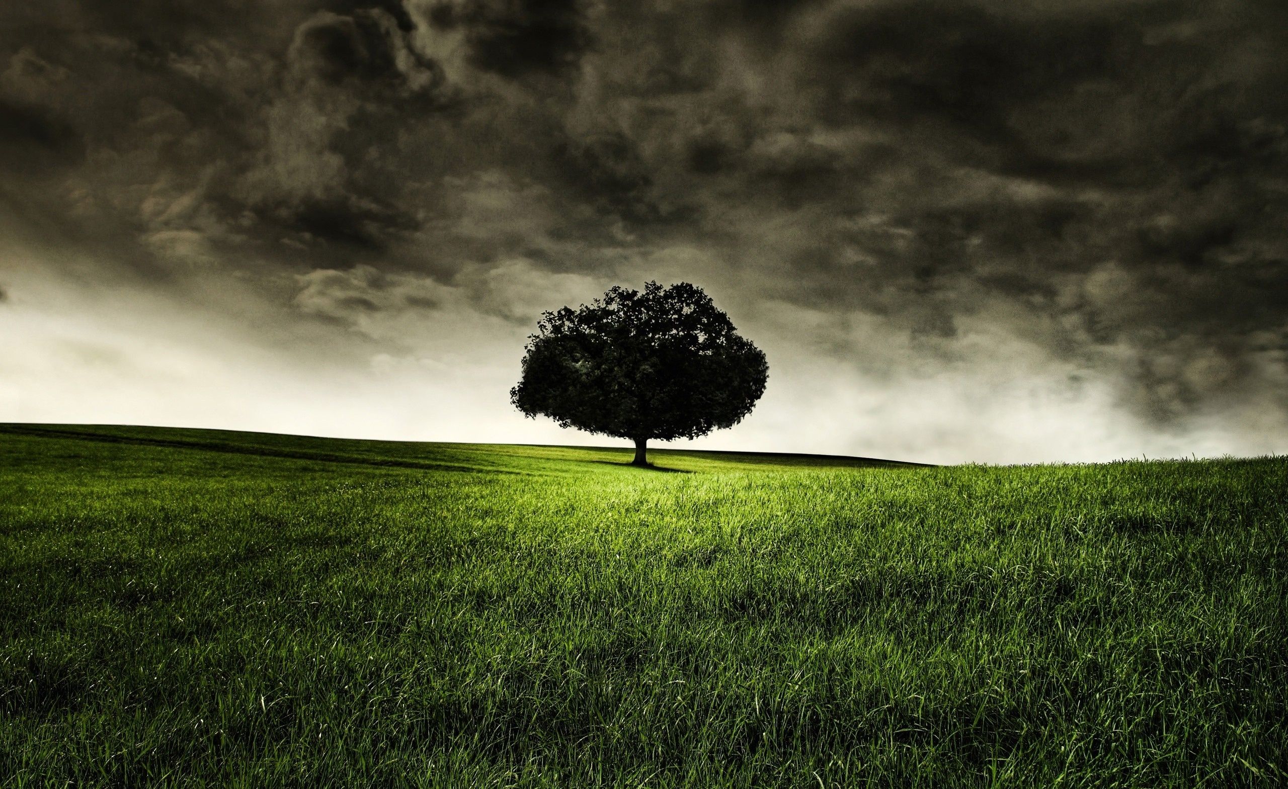 Dark Nature Wallpaper
