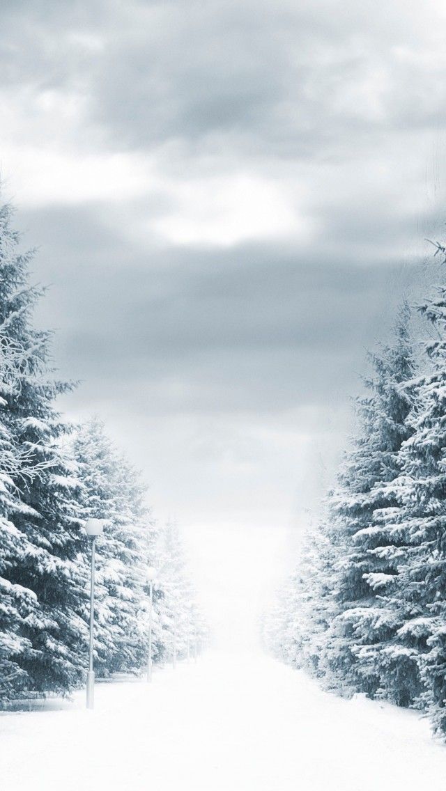 Free Download Winter Iphone Wallpaper 4 Pretty Young Things Pinterest 640x1136 For Your Desktop Mobile Tablet Explore 50 Winter Wallpaper For Iphone Winter Wallpaper For Ipad Snow Iphone Wallpaper