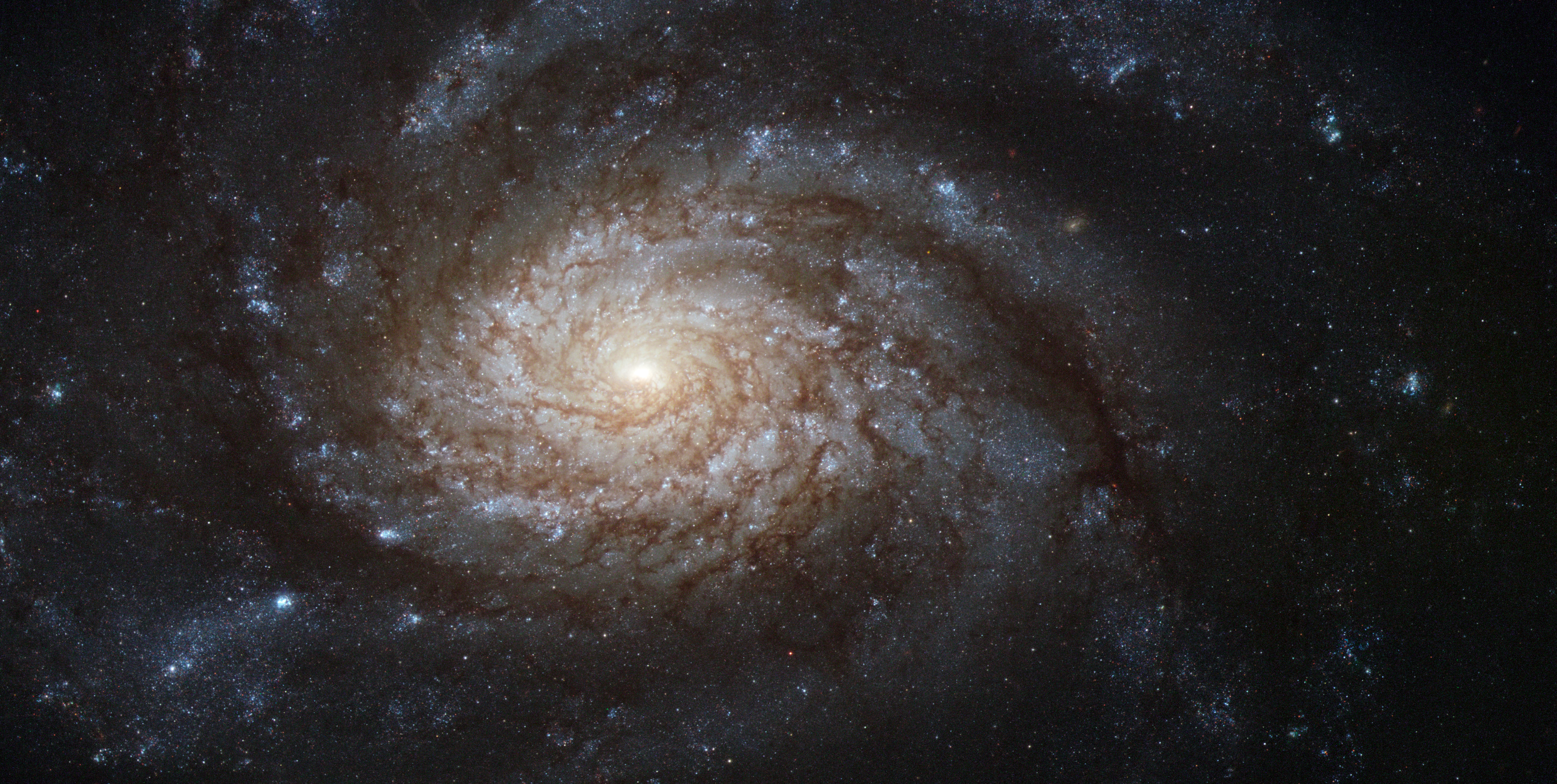 By The Hubble Space Telescope Jpg Wikipedia Encyclopedia