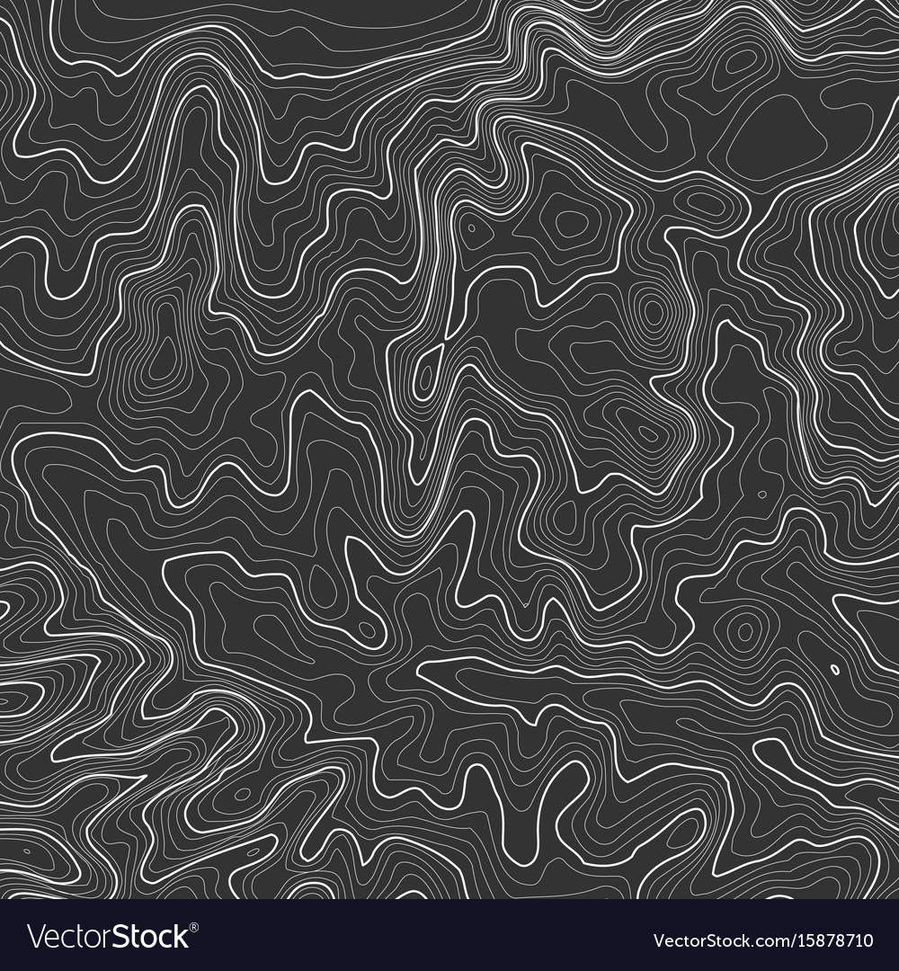Topographic Map Background With Space For Copy Vector Image