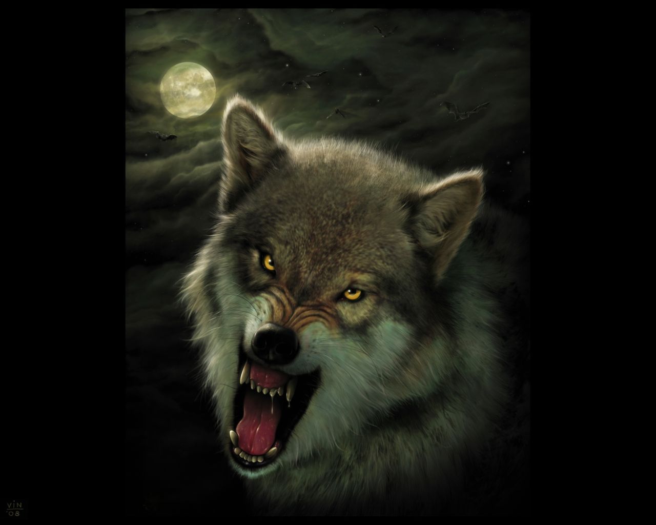 Awesome Wolf Pics Background Pic Wolfs HD