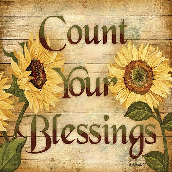 Sunflower Count Your Blessings Primitive Wall Art