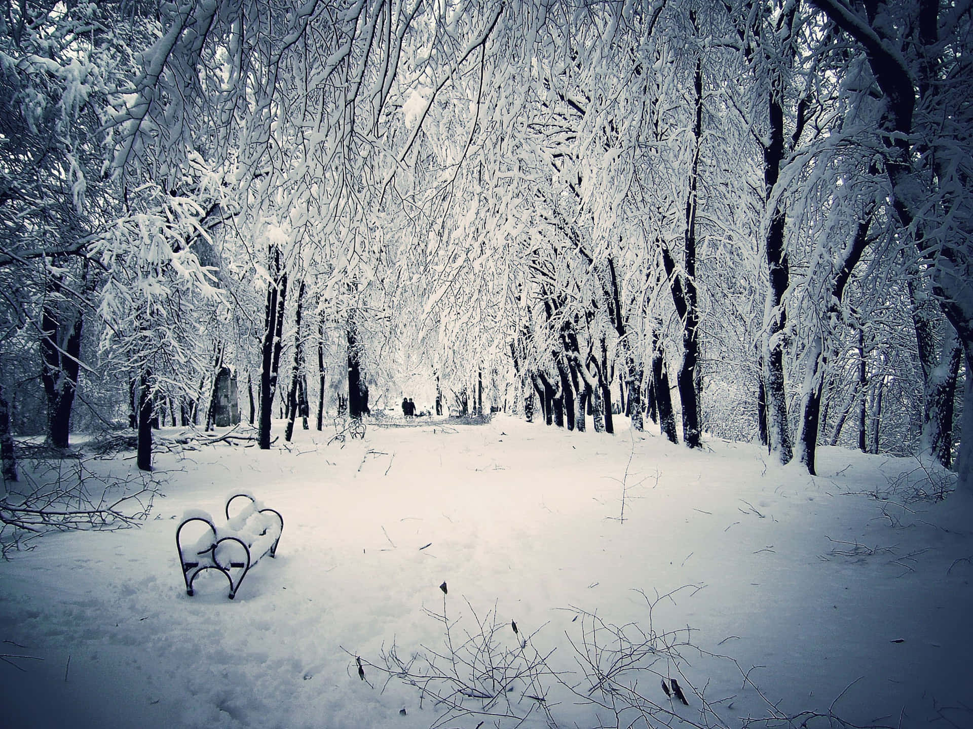 Snow Desktop Wallpaper