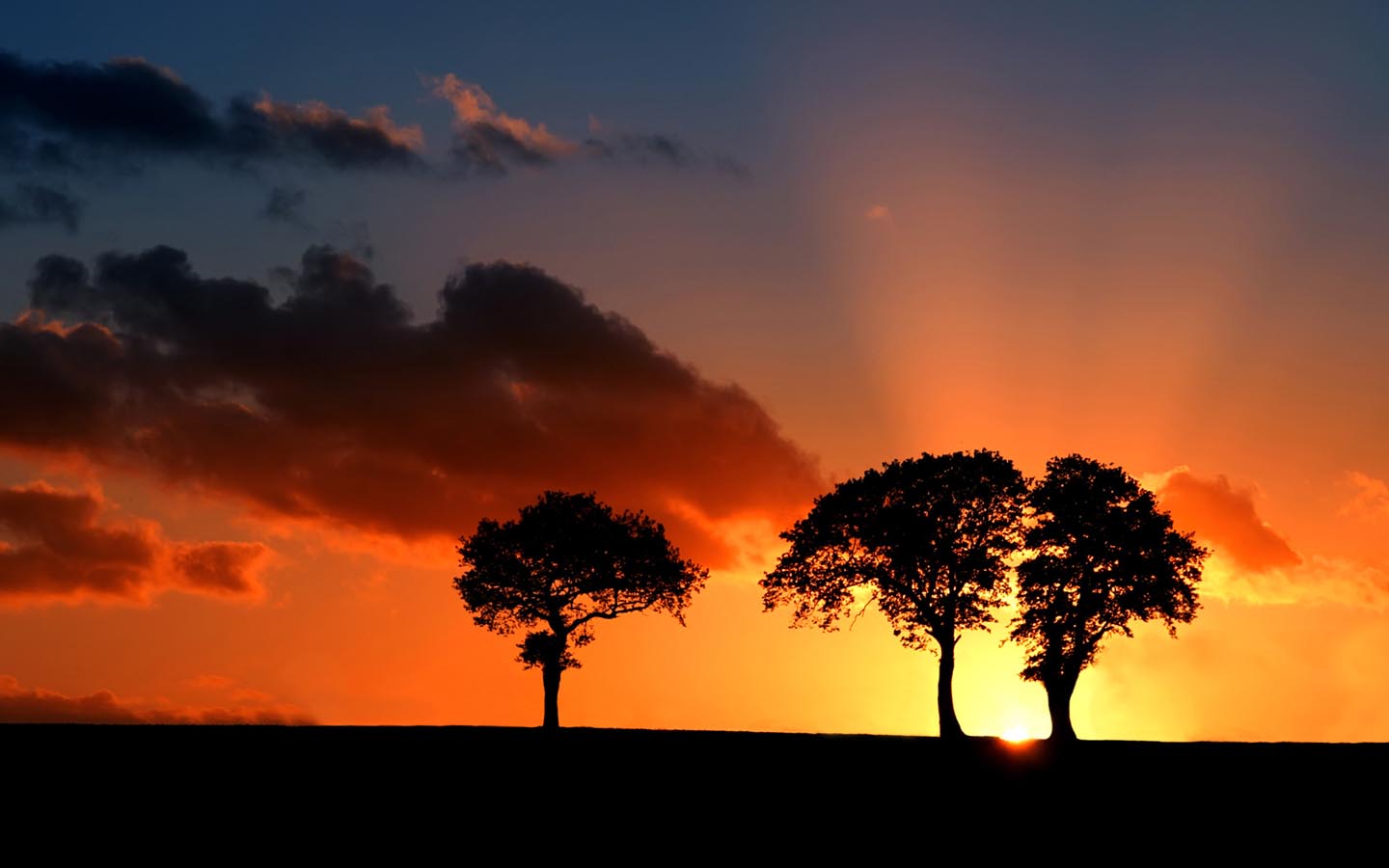 Best Savanna Background African