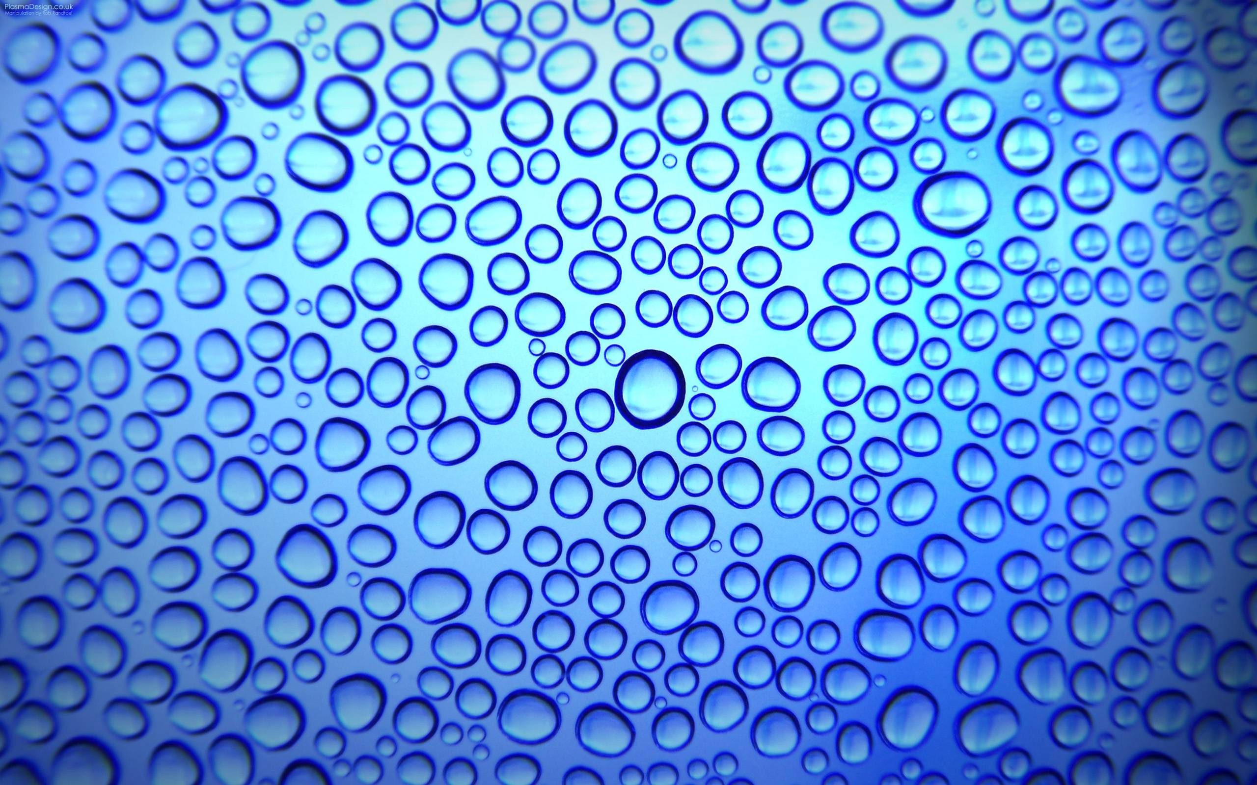 Water Droplets Wallpaper